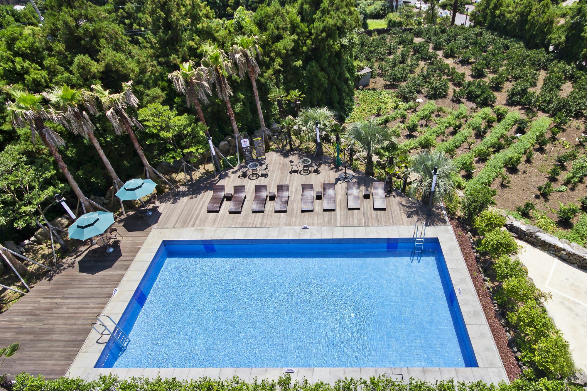 Sunrise Hotel Jungmun Branch Seogwipo Esterno foto