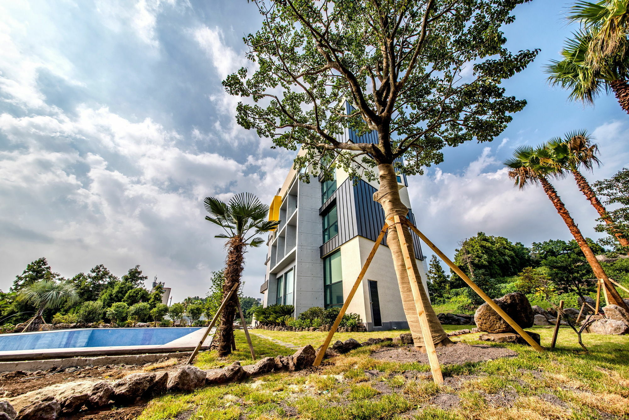 Sunrise Hotel Jungmun Branch Seogwipo Esterno foto